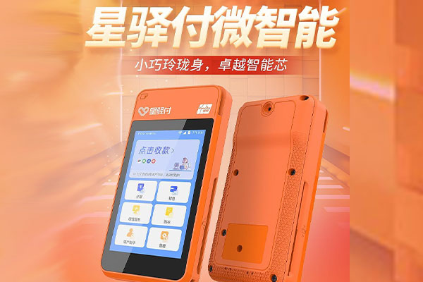 林口国通微电签POS机